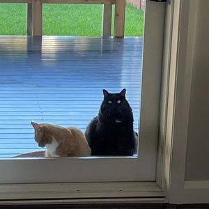 Meet your Posher, Marina